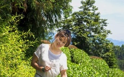 免费伦费一区二区三区四区